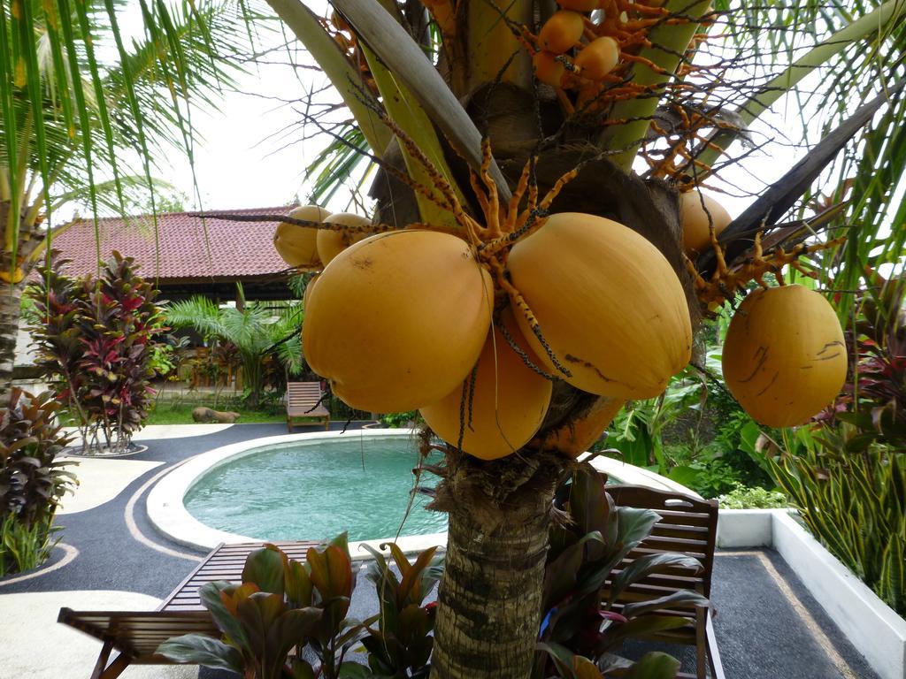 West Bali Villas-Umasari Resort Negara  Zimmer foto
